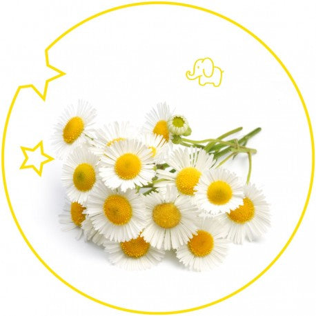 Kids Eau de Parfum 15 ml.