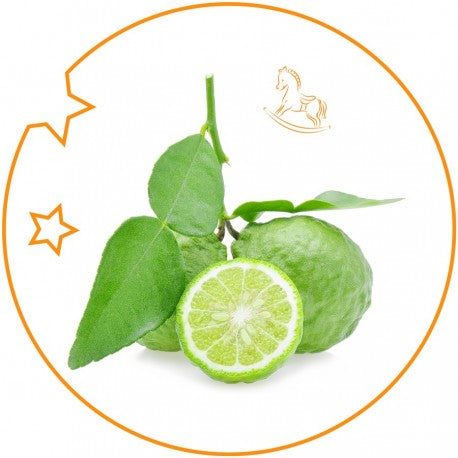 Kids Eau de Parfum 15 ml.